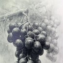 열린입시학원 이미지