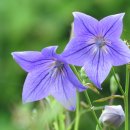 영풍월호리마애석불좌상 이미지