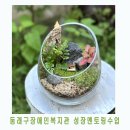 동래구 장애인복지관 | 부산 동래구 장애인복지관 성장멘토링 힐링테라피 테라리움수업