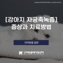 (주)고려메디칼 이미지
