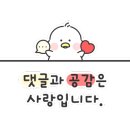 먹세짬뽕 이미지