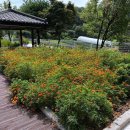 상록병원 이미지