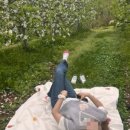 문금 농장 이미지