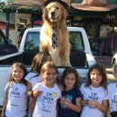 강아지마을2012 이미지