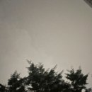 삼삼프로젝트 이미지