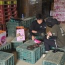 상대농원 이미지