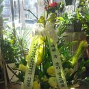 서초구립 양재종합사회복지관 이미지