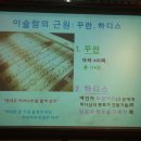 이슬람 중앙성원 이미지