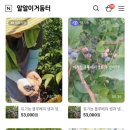 네이버화법스쿨x봄온아나운서아카데미 라이브방송교육 후기