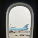 497 | 인천-델리 대한항공 KE497 맨 뒷자리 57H 대추천의 후기