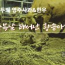 순식농장 네이버블로그