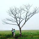 제주금산민박 이미지