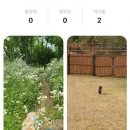 러브리독 이미지