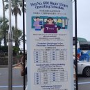 강정초등학교 | 노르웨지안 스피릿호 첫 기항지 제주도 강정크루즈터미널 후기