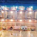 몽이네 애견샵 이미지