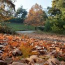 연세봄날에산부인과의원 이미지