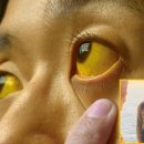 (주)라이프응급환자이송 이미지