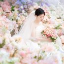 엠제이통상 | MJ컨벤션 본식스냅 다이너스티홀 결혼식 후기 | 웨딩스냅작가가 담은 결혼식 순간들 | 사진작가추천...