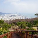 부산 황령산 전망대 카페 이미지