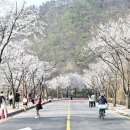 종로-종로-종로-종-130 이미지