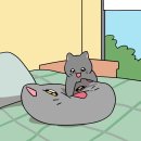 조와 PC방 이미지