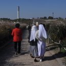 하늘공원 이미지