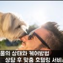 스타인호텔 이미지