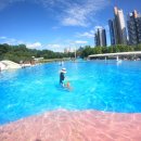 도그베이