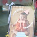 토계촌 | 제주 서귀포토계촌 출장돌상 열매후기