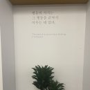 화이트펜슬 이미지