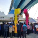 의령-의령-의령-D-6 이미지