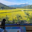 무릉다락방 | [고성여행] 강원도 애견동반 독채펜션 코무네 고성애견동반숙소