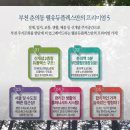 웰유듀플렉스 이미지