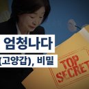 조작, 엄청나다 / 심상정(고양갑), 비밀 / 선거, 원하는 대로 결과 만들 수 있어 / 위조투표지 더하고 싶으면 더해줄 수 있는 선거 이미지