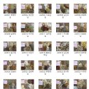 북가좌경희한의원 | 북가좌한의원? 경남 창원에서도 찾아오는 곳의 특징 2가지.