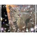 호텔리젠시 나이트 | 치앙마이2(무삥쿤퍼, 나이트 사파리)