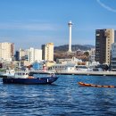 부산해양경찰서 영도파출소 이미지