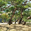 안중근공원 이미지