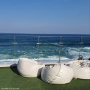 바다정원 이미지