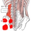 참벗한의원 이미지