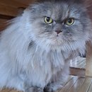 엄마와딸 행복식탁 이미지