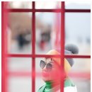 여행나무 - 중구 남대문로 117 | 여행나무