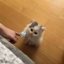 소울공방