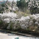 무등파크 골프연습장 이미지