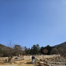 남해-179 | 남해 양떼목장 후기 (사진 찍기 좋은 힐링 여행지)