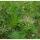 동강의원 이미지