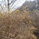 대웅 당구장 이미지