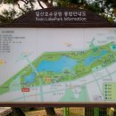 그린앤드코
