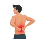 척추 질환 예방 허리와 다리 통증 잡는 요가 | 요추 염좌와 디스크 초기 구분법, 허리 통증 원인 바로 잡는 법