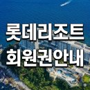 롯데워터파크길R | 롯데리조트 회원권 속초·부여·김해까지 전 지점 혜택 및 평형별 완벽 총정리!
